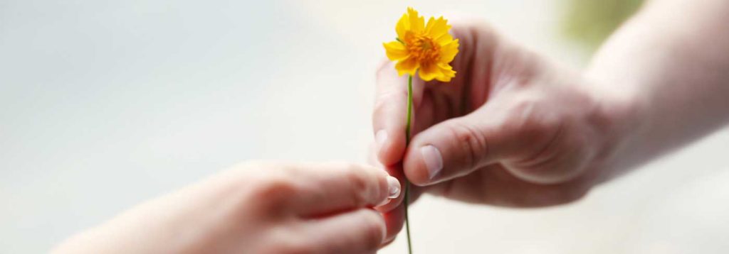 Eine Hand überreicht eine Blume