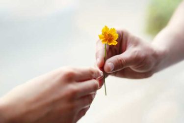 Hände halten und schenken eine Blume